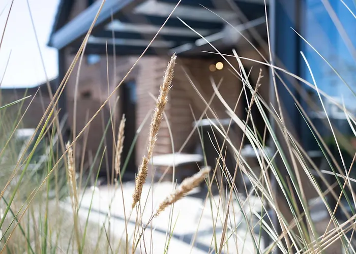 Prázdninový dům Haus Strandhafer Schillig